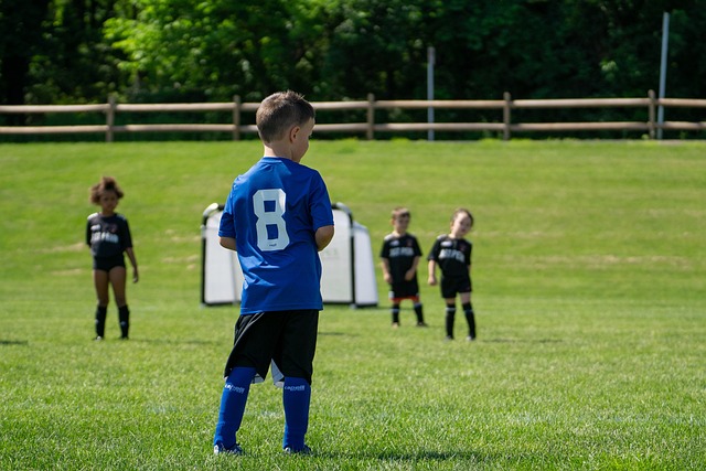 太阳队的竞 太阳队的竞