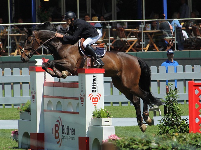 戈的稳定发 戈的稳定发