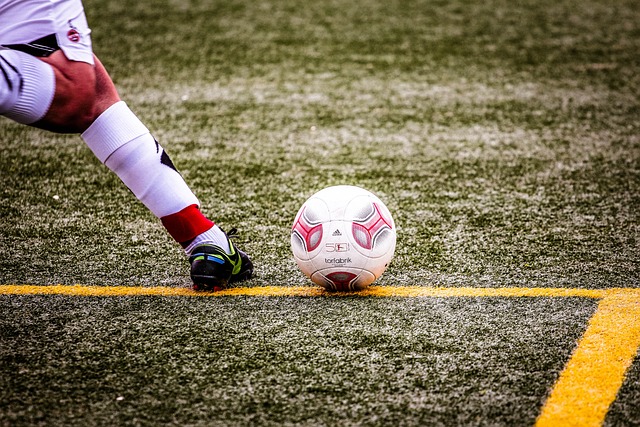 屡夺得荣誉 屡夺得荣誉