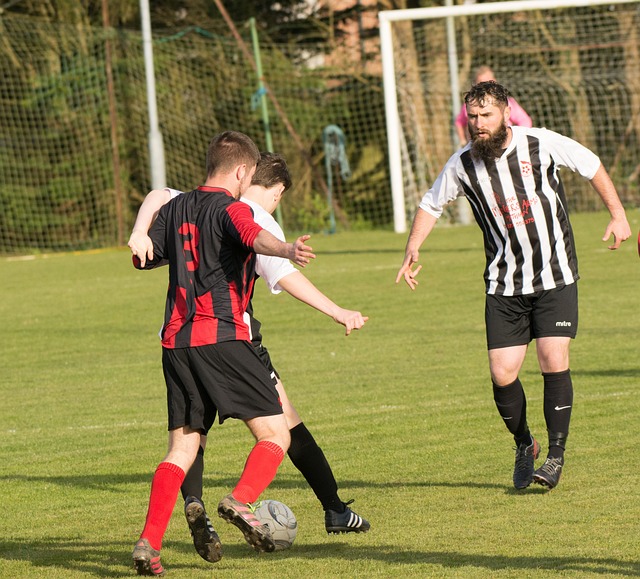 赢得了国际 赢得了国际