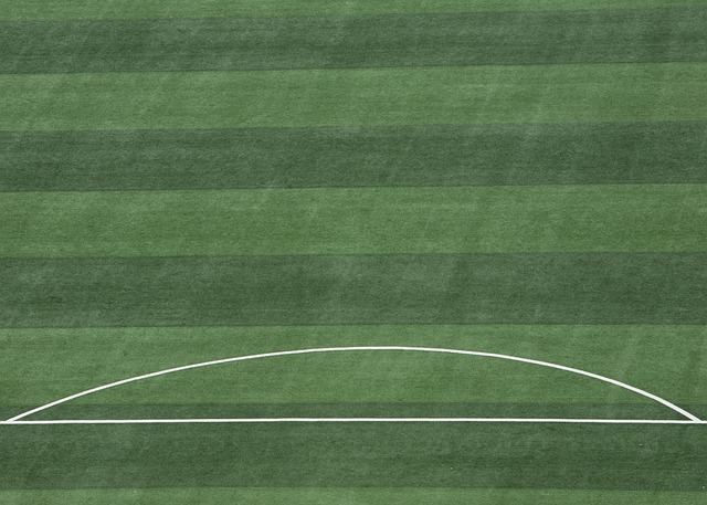 到中超新賽 到中超新賽