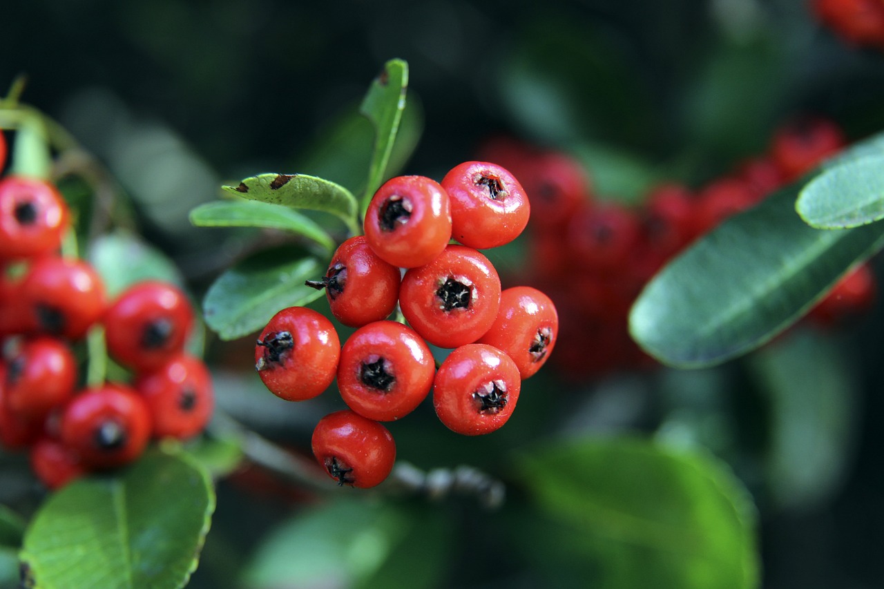在这场决定 在这场决定