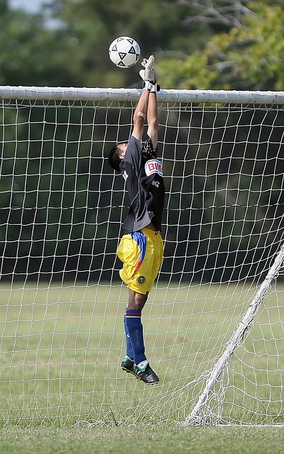 多種訓練方 多種訓練方