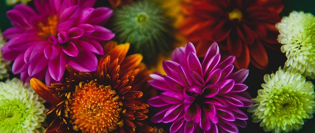 门能力堪称 门能力堪称