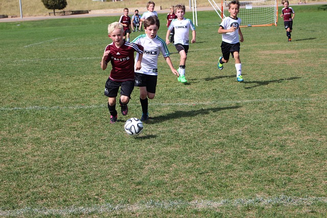 关键词解析 关键词解析